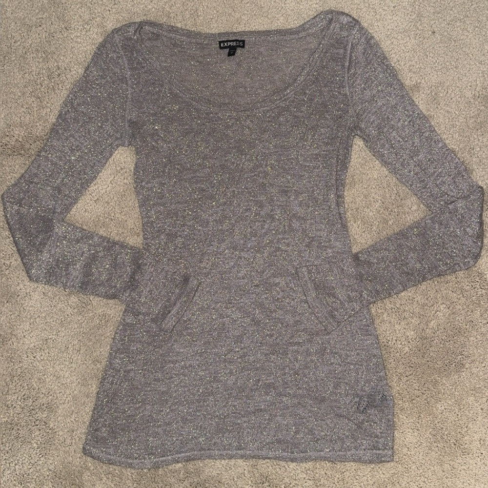 Express Gold Shimmer Gray Knit Top